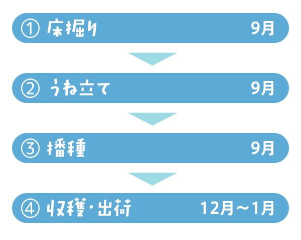 栽培のローテーション